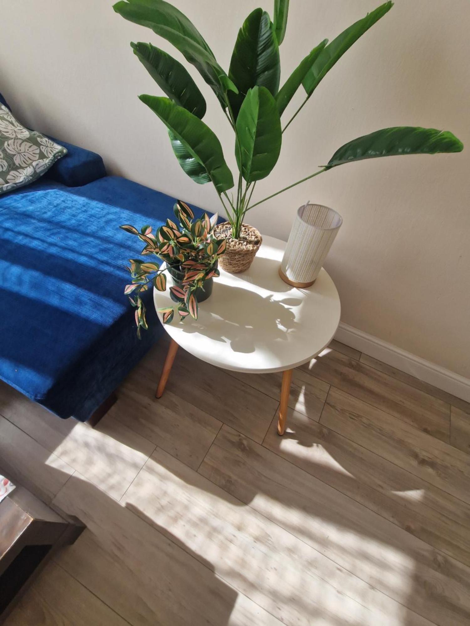 Apartament Mokotow *